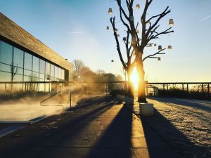 Auteur fotograaf Timo - 
Bestandsdatum : 24-07-2019