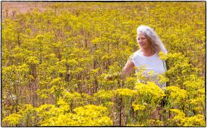 Auteur fotograaf Joep Sengers - Bloemenveld met Maria