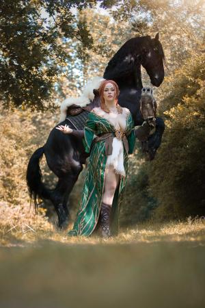 Auteur model Adia - Triss Merigold cosplay
Horse: Twan from Cosplay_Dressage_Horses
Owl from Uil Topia
Photographer: G.martin Fotografie