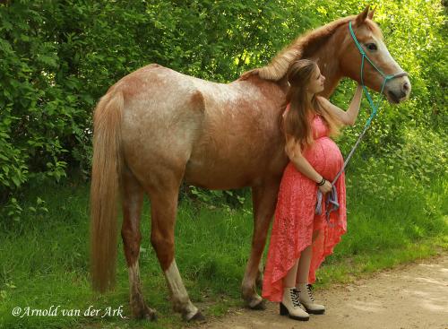 Auteur fotograaf Arnold van der Ark - #paarden