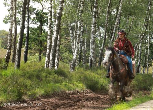 Auteur fotograaf Arnold van der Ark - #paarden