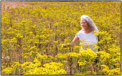 Auteur fotograaf Joep Sengers - Bloemenveld met Maria